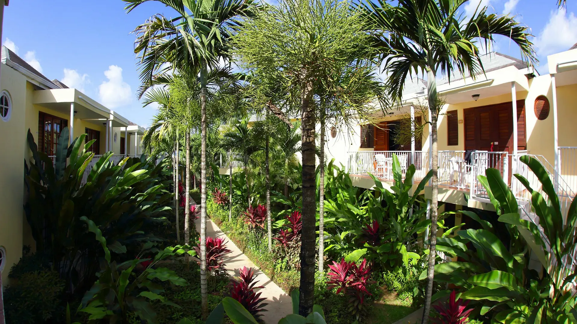 Negril Palms Hotel 3*,